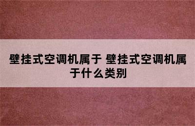 壁挂式空调机属于 壁挂式空调机属于什么类别